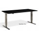 Forge Dual Motor Height Adjustable Desk